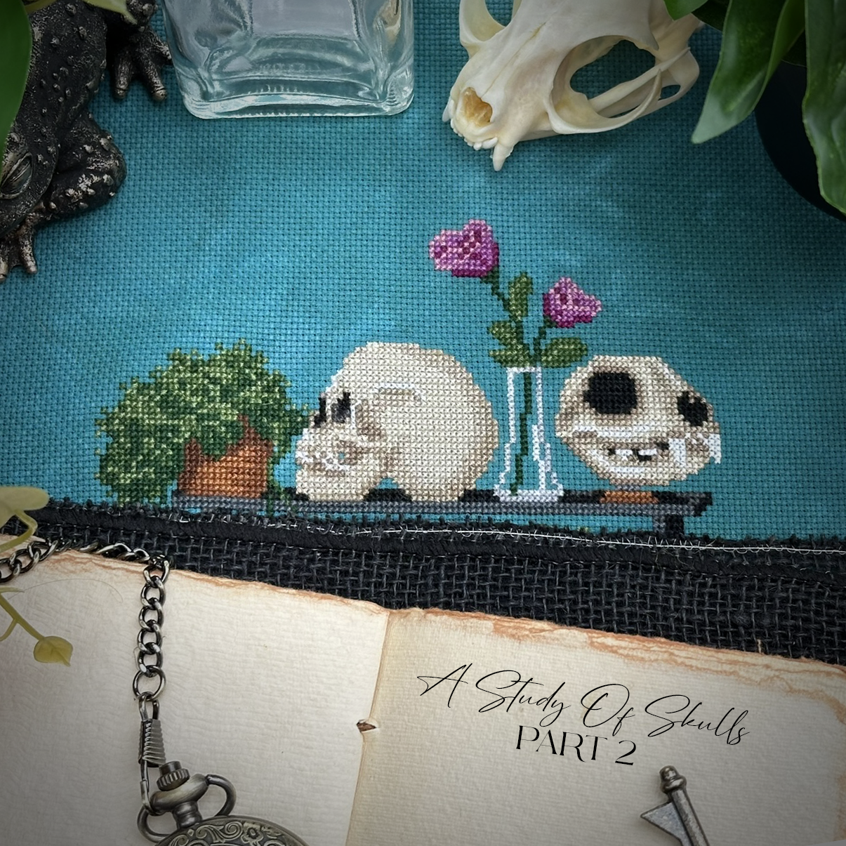 A Study of Skulls SAL Mystery Stitch-A-Long