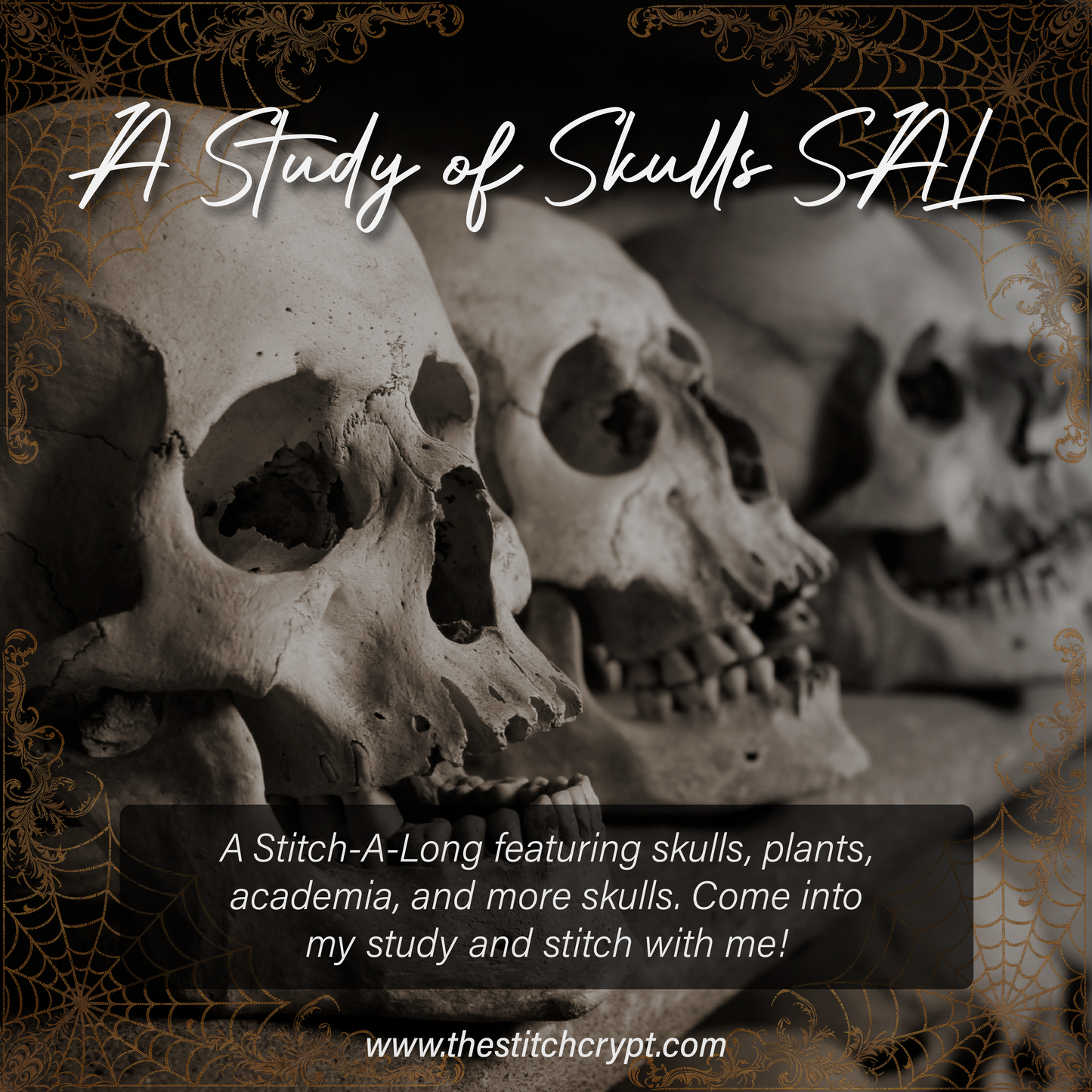 A Study of Skulls SAL Mystery Stitch-A-Long