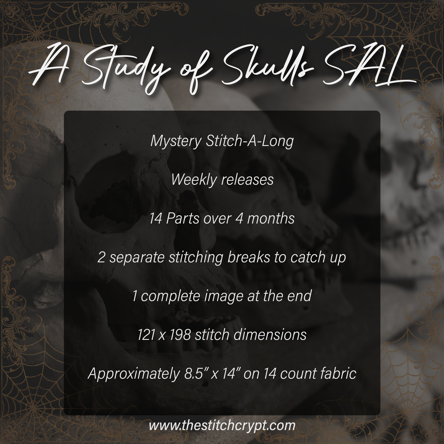 A Study of Skulls SAL Mystery Stitch-A-Long