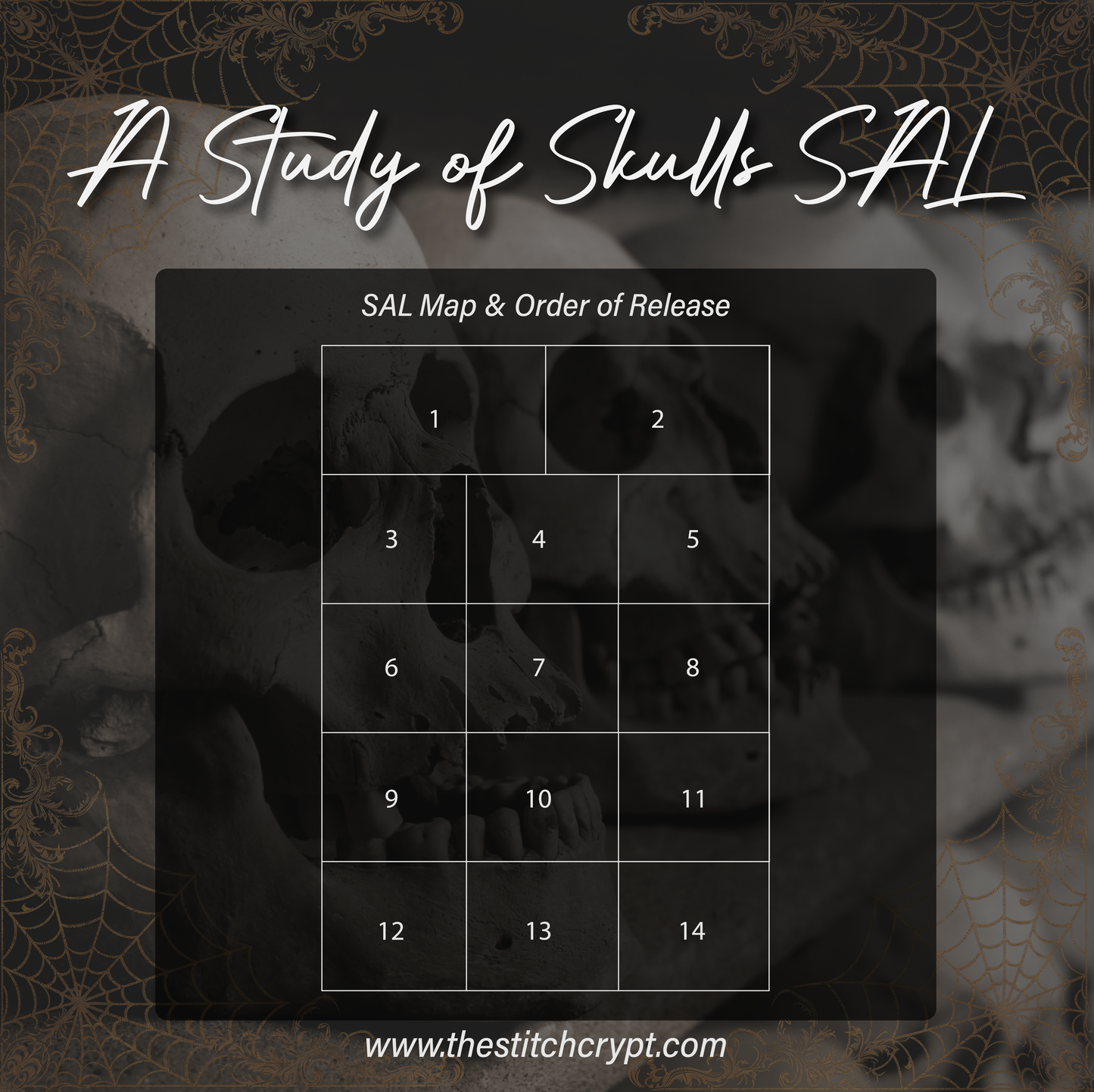 A Study of Skulls SAL Mystery Stitch-A-Long